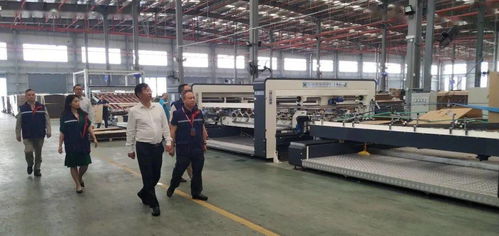 黨委書記 董事長趙勇調研經開長虹包裝印務產業園